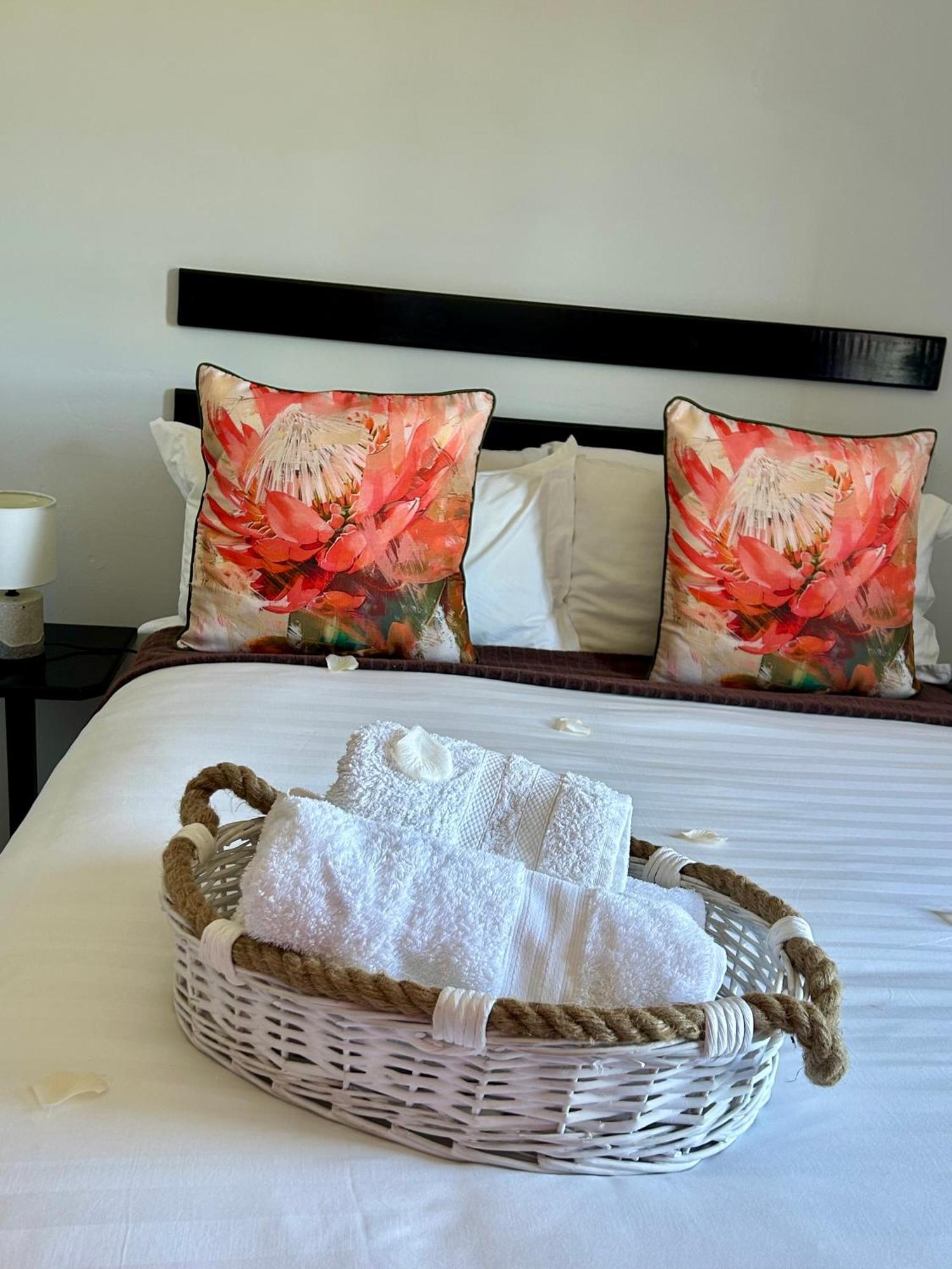 Skyfly Bed & Breakfast 曼齐尼 外观 照片